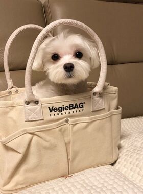 网红茶杯犬猫宠物背包便携外出包帆布包小型猫狗背包猫包马尔济斯