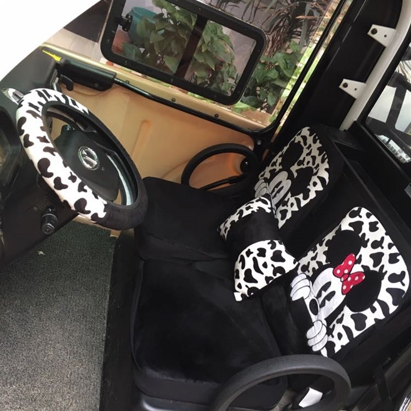 新能源两座 大阳电动车两座永源电动汽车四轮车正副驾驶两座座套