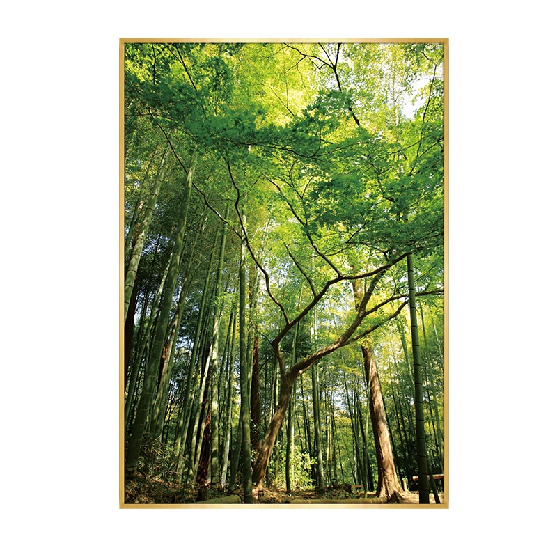 绿色参天大树装饰画竹子森林风景挂画长方形竖版壁画家庭玄关网红图片