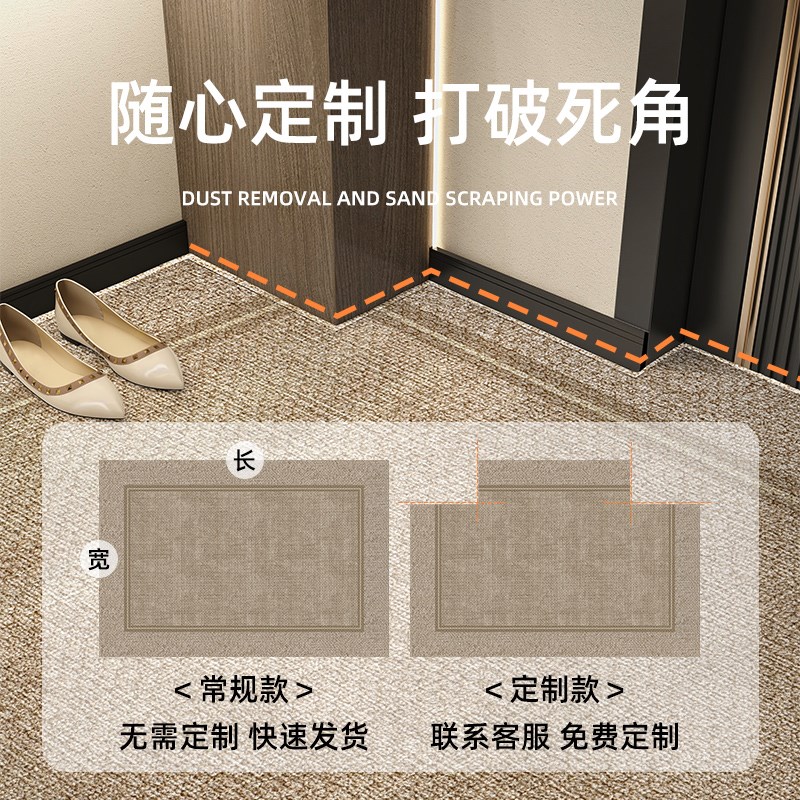 入户门进门地垫2025新款可擦免洗门垫玄关高级可裁剪防滑耐脏地毯