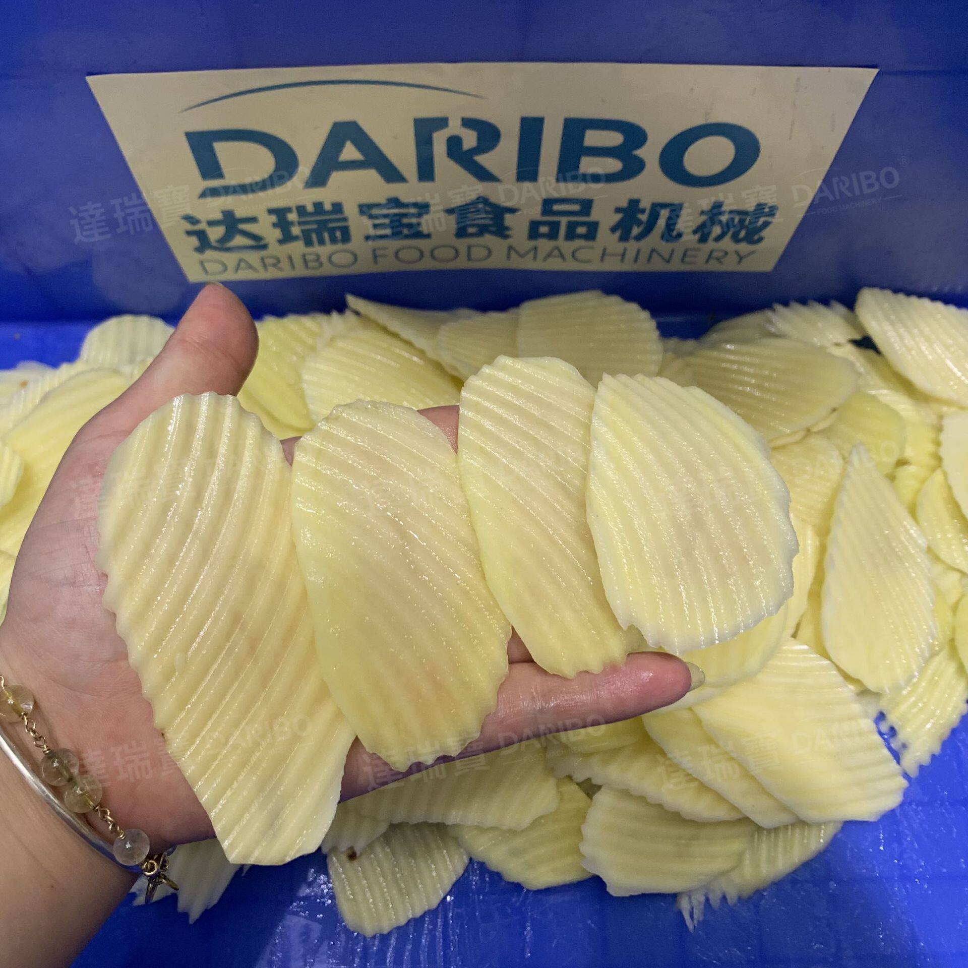 W现货全自动高速商用切菜机萝卜切条马铃薯土豆切片机洋葱切粒机