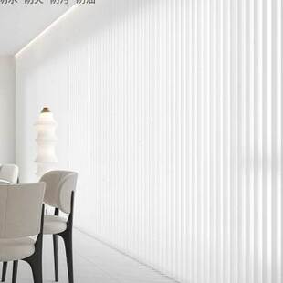 精品动梦幻帘窗帘遮光202新款 客厅阳台卧室纱帘垂直竖百叶窗帘