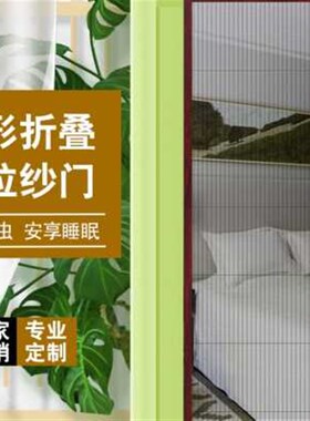 。蚊帐门帘推拉防蚊子纱窗网入户门纱门房门防蚊折叠式纱免打孔安