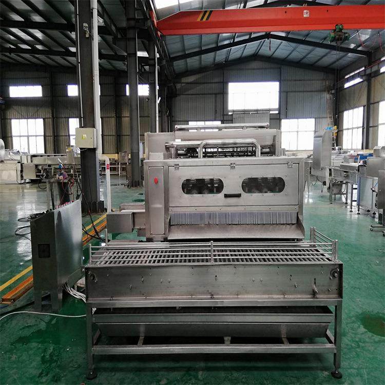 鸡蛋剥壳流水线设备 鸡蛋怎么剥壳快去皮干净不破蛋 剥壳机厂家,清洗/食品/商业设备,休闲食品加工设备,淘宝优惠券,粉丝福利购,淘宝优惠卷