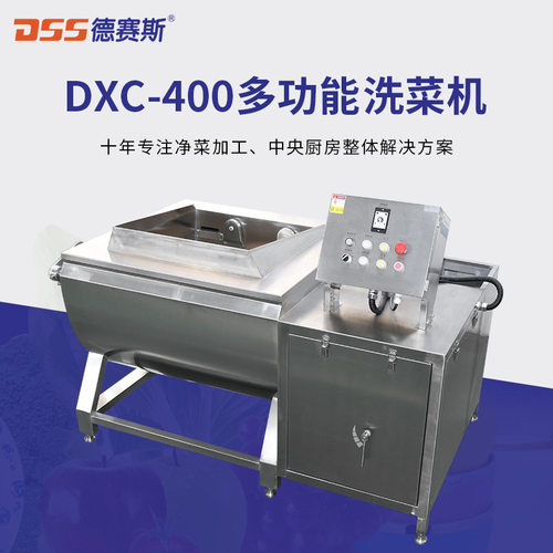 厂家供应DXC-400洗菜机 酒店洗菜机蔬菜