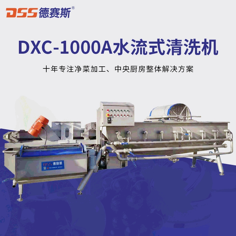 供应食品/饮料加 工及餐饮行业设备DXC-1000A水流式清洗机