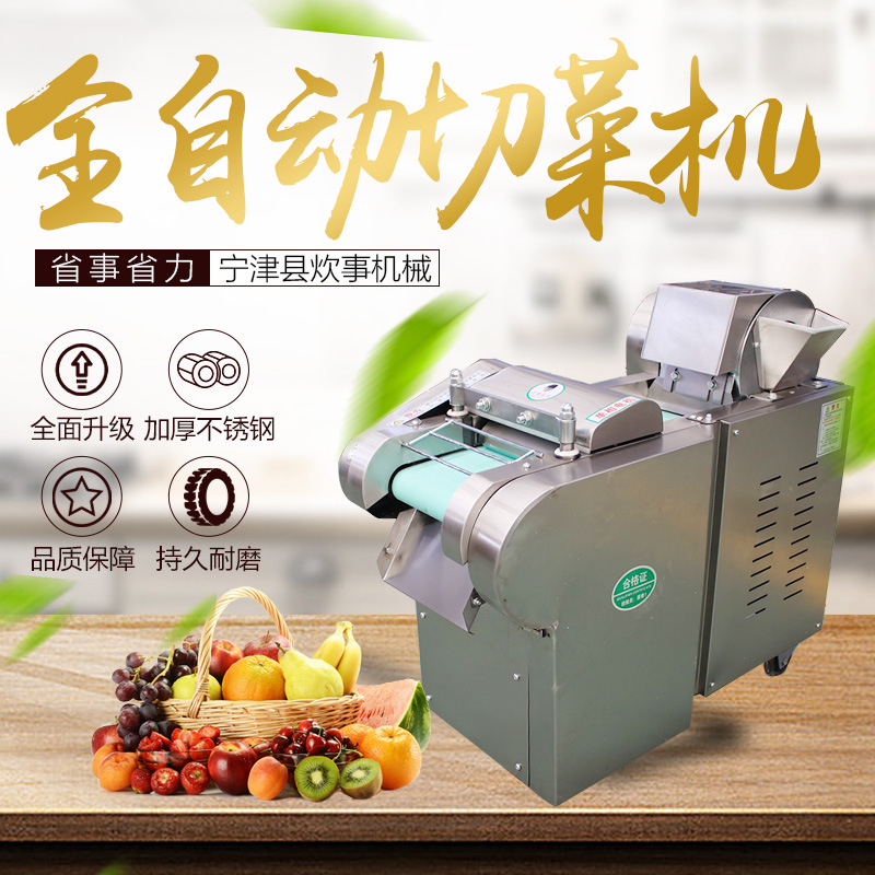 直销全自动多功能切菜机不锈钢商用切菜机电动蔬菜瓜果多用切菜机