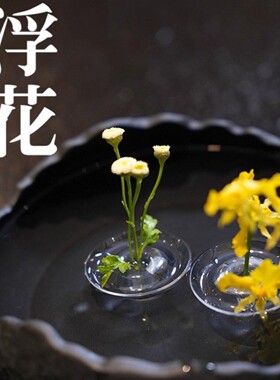 漂浮花插新款简约侘寂风插网红花器鲜花水培器皿花盆花瓶客厅布置