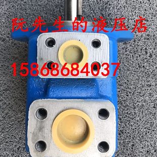 Y公司QB液原装 F0B0 叶片泵Q20Y F16业股份有限广东性实广能高