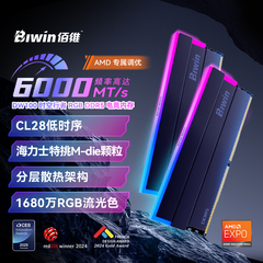 佰维DW100 DDR5台式机RGB内存条24G*2/48G*2套装6000频率c28时序