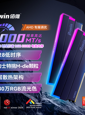 佰维DW100 DDR5台式机RGB内存条24G*2/48G*2套装6000频率c28时序