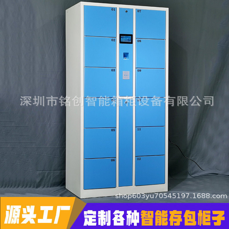 12门指纹密码手机存储柜超市商场智能储物柜寄包存包柜厂家收纳