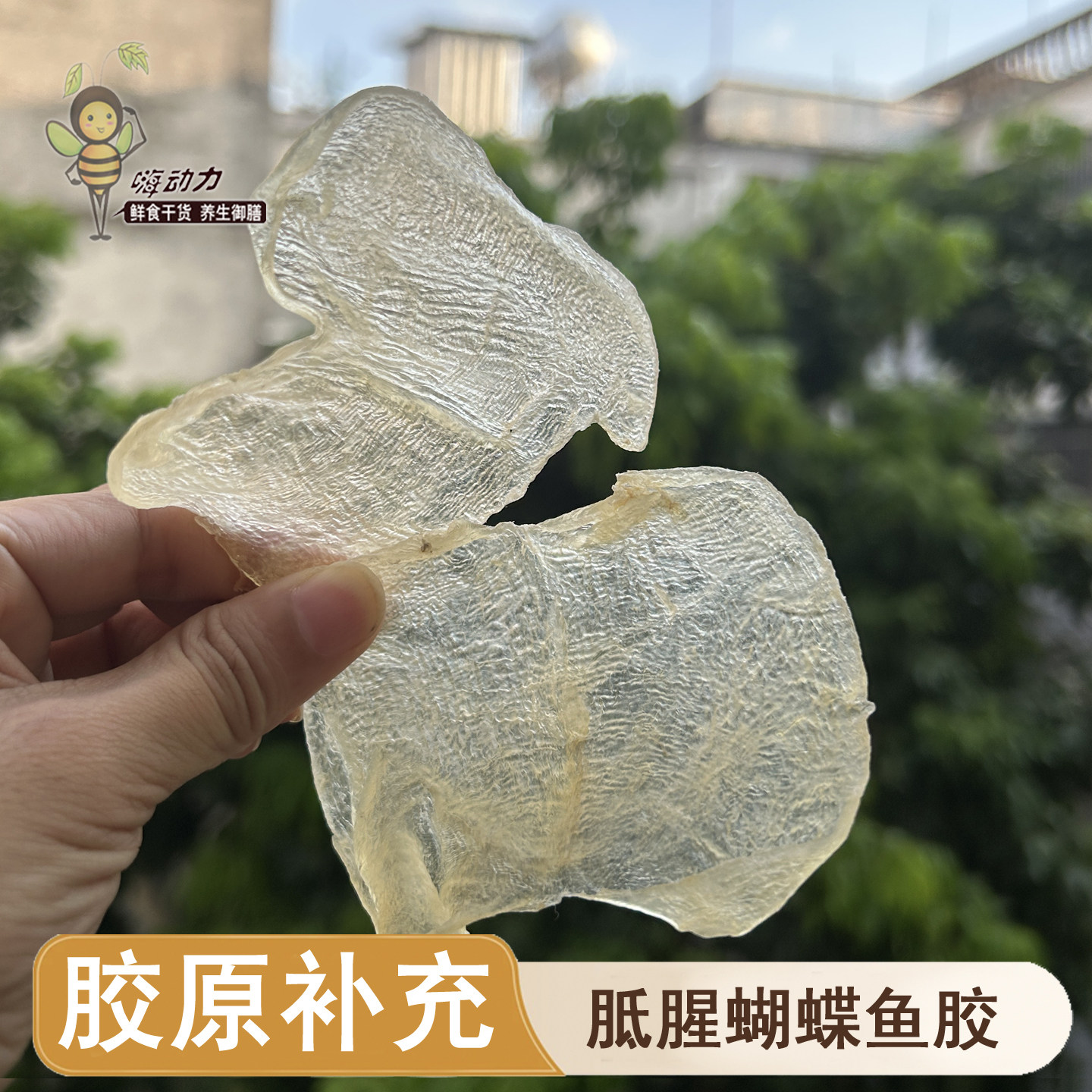 嗨动力蝴蝶胶鱼胶奶冻白花胶干货