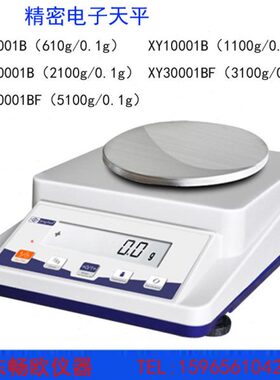 XY6001B天平610g电子称XY10001B/XY20001B/XY30001BF/XY50001BF