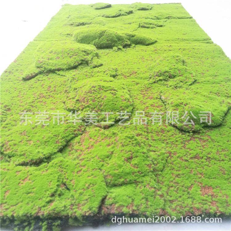 仿hm-007苔真苔藓草皮大气绿墙装饰植青苔草坪美观草皮草皮墙面