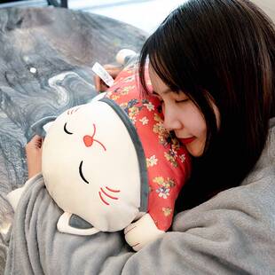 汽车载猫抱枕被子车上两用后排靠背垫午休毯座椅护腰腰枕毯#