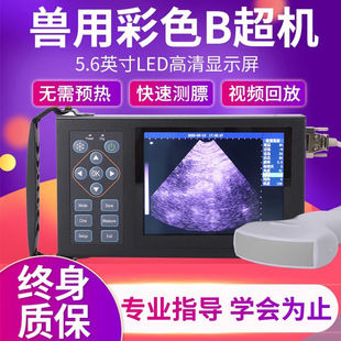 兽用b超机猪用b超机牛羊B超检测仪高清便携测怀孕背膘b超机兽用