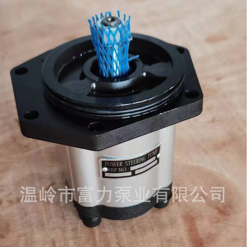 041683T2 041682T1 Tractor pump 出口品质弗格森 MF Ferguson