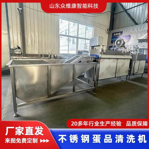 全自动蛋制品洗蛋机笨鸡蛋高效快速清洗设备土鸡蛋清洗去污生产线