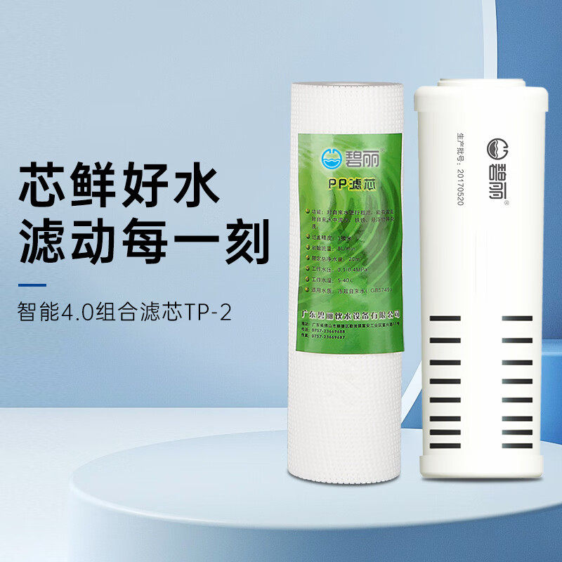 净水器滤芯碧丽9.5寸平口pp棉滤芯前置过滤棉净水机配件喷熔pp