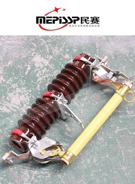 厂直销R11-10/熔10-2000a户外跌落熔断器RW11-10/令克开关W10KV跌