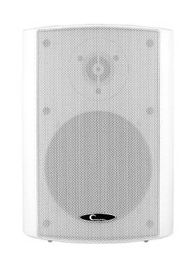 CTRLPA CL612W店铺广播壁挂音箱 室内定压挂壁喇叭墙挂式会议音响