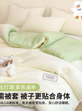 A维类暖YZY豆纤被子被芯四季大通用学生宿舍春秋被保冬被单双人棉