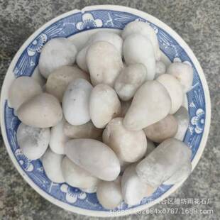园林枯山水砾石庭院造景水洗石灰色 日式 白色精抛光鹅卵石2 3Cm
