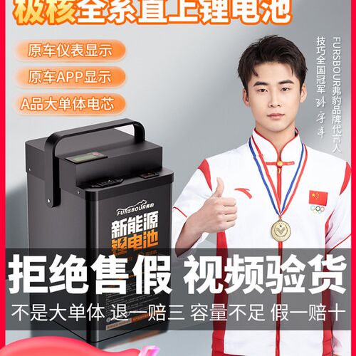 弗豹极核电动车AE2/AE4i/AE4SvEEZ3iAE8S+AE5ipro48V72V全系锂电