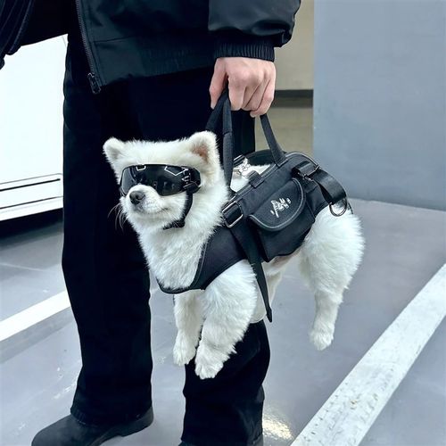 宠物户外揹包狗狗猫咪可携式外出包手提双肩透气抱婴袋牵引轻便遛