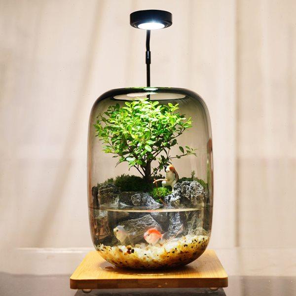 【小猫钓鱼】苔藓微景观公室创意生态缸鱼缸桌面生态摆件成品,饰品/流行首饰/时尚饰品新,摆件,淘宝优惠券,粉丝福利购,淘宝优惠卷