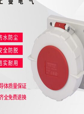 上曼电气NENMMAN防水暗装TYP:1124工业直插面板插座63A 4孔IP67