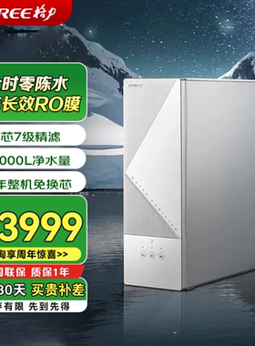 格力净水器WTE-PT60-3021超大流量家用钛空银色整机3年免换芯