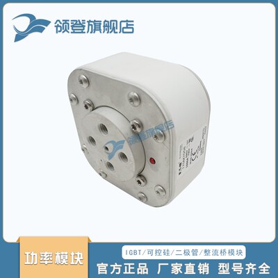熔断器保险丝170M7058 7059 7060 7061 7062 7063 7R064 7065 706
