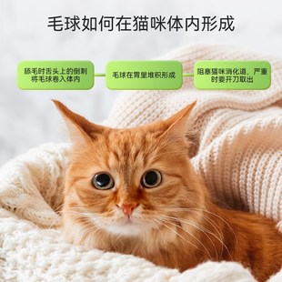纽贝健化毛膏猫咪排出毛球养护肠道猫化毛膏猫咪专用120g