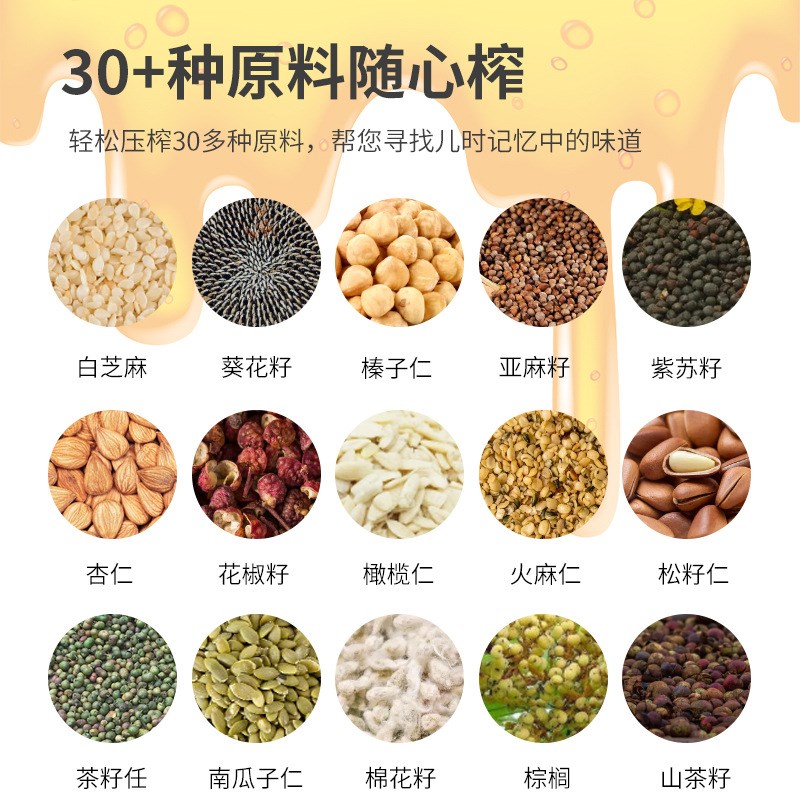 榨油机全自动小型家用家庭式新款多功能冷热商用菜籽油坊炸油机