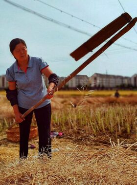 打菜籽连盖打谷子打油菜专用连架打麦子梿枷农具大全