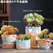 小口径复古大透气多肉植物简约落地式 陶瓷创意粗套多肉花盆套装