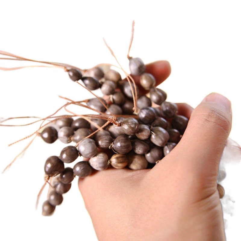 草珠门帘草珠帘草珠帘子草珠子门帘草珠帘子防蚊帘