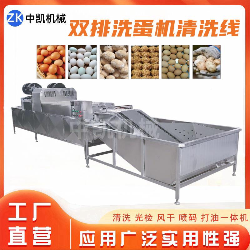 QTJ商用泥裹蛋喷洗蛋机鸡蛋外壳粪便清洗风干码设备鸡蛋清洗流水