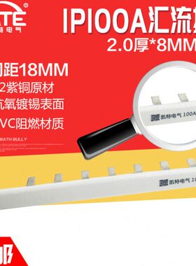 1P100A汇流排 紫铜2.0*8 DZ47空开连接铜排 C45断路器接线排KT001