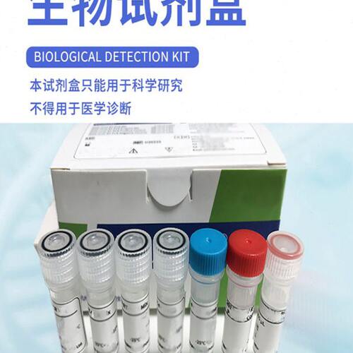 红色叶绿素降解产物还原酶（RCCR） ELISA检测试剂盒