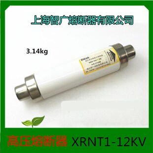 上海智广 高压高分段能力熔断器 XRNT1-12KV/50A-125A 铜