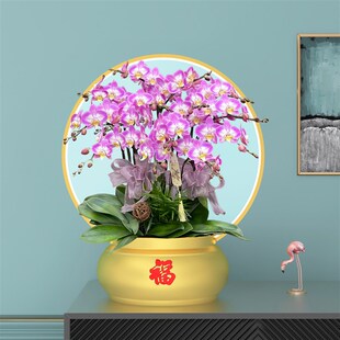 新年福盆福桶冬青银柳年宵花插花花盆花器金属金色铁艺抱抱桶花桶