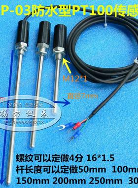 进口pt温度传感器探头式热电阻防水防锈热电偶热电阻WZPT-