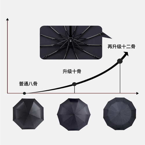 雨伞男全自动12骨女大号双人三人学生加固防风晴雨两用折叠伞定制