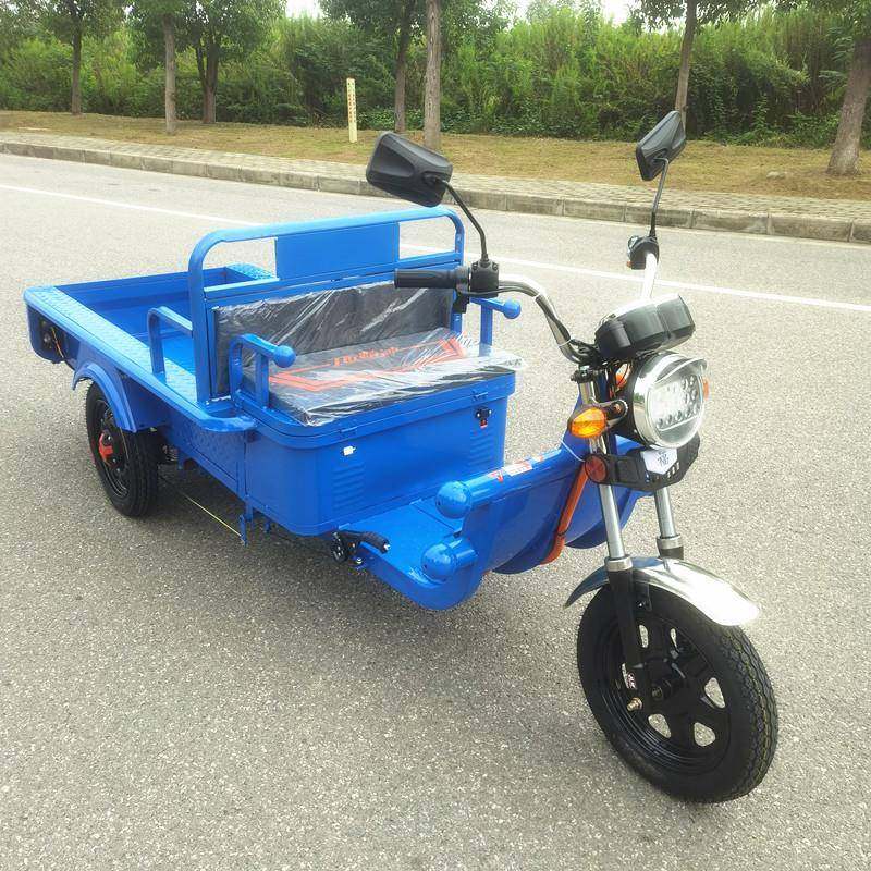 电三轮车货货运代步成人新款农用家用车冠载小货车重快递动平板三