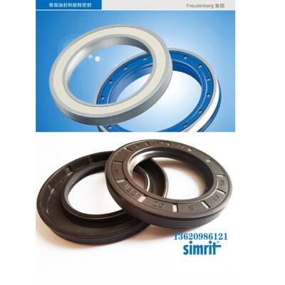 德m国FCWSirti/FREUDENBERG油封673BAUM6X7SLX7135-170