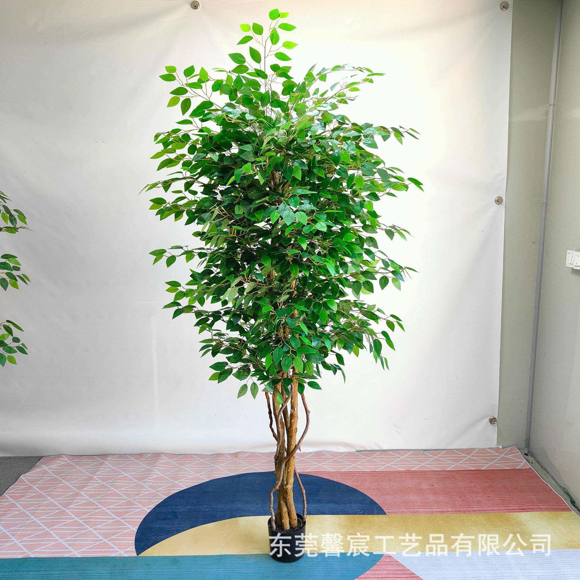 仿盆真榕树真木栽杆迷xc5521你榕树小叶榕真仿绿植仿真树室内装饰