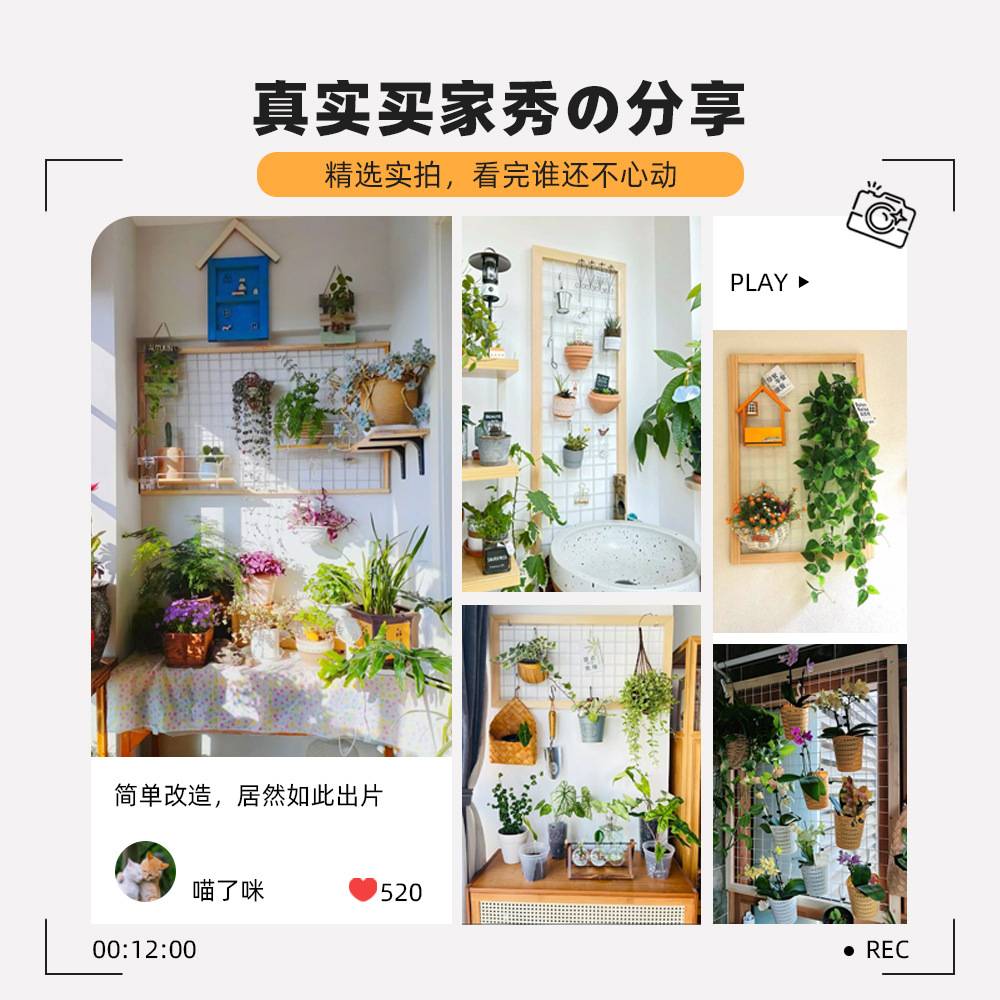 新品阳台墙面花架网格壁挂式绿植架实木悬挂置物架铁艺室内花架子